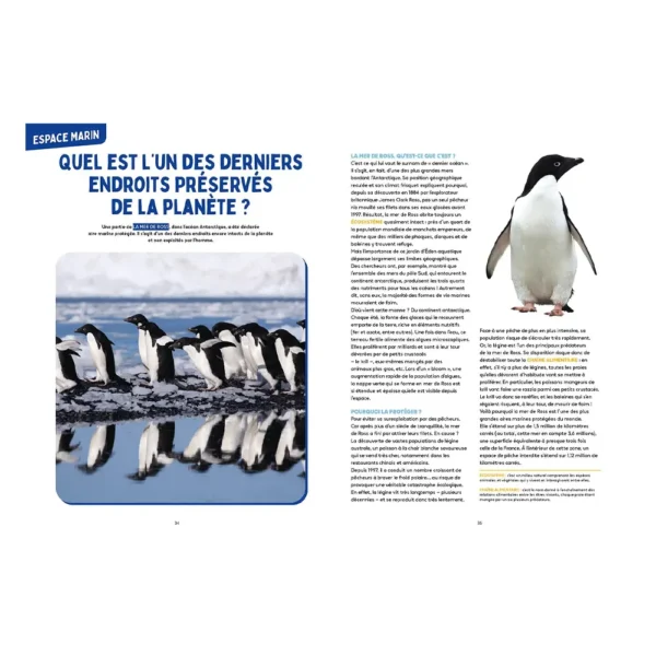 Mysteries of the Ocean - Science & Vie Junior