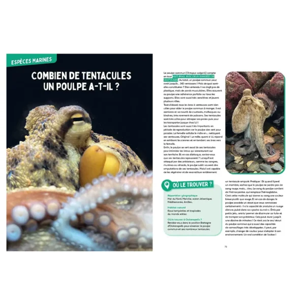 Mysteries of the Ocean - Science & Vie Junior